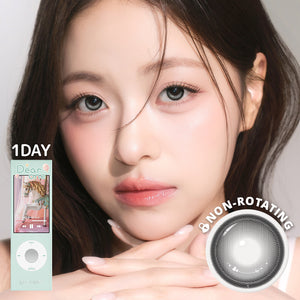 Stock_One Pick Dear One Dear Gray 1Day - I-SHA GLOBAL