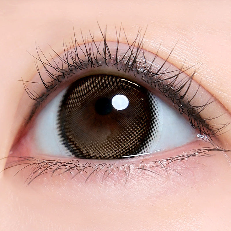 LN25 Deep Choco 1Day - Korean Daily Colored Contact Lenses
