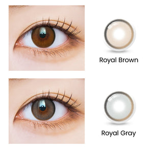 [Lucky Box] ORIANA Gray Clearance KIT (1D/1M)