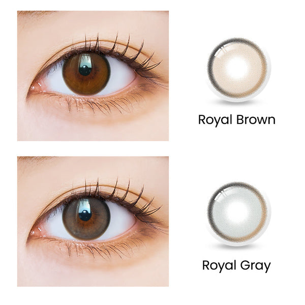 [Lucky Box] ORIANA Gray Clearance KIT (1D/1M)